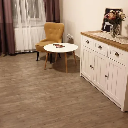 Apartman B2 U Centralniho Parku *
